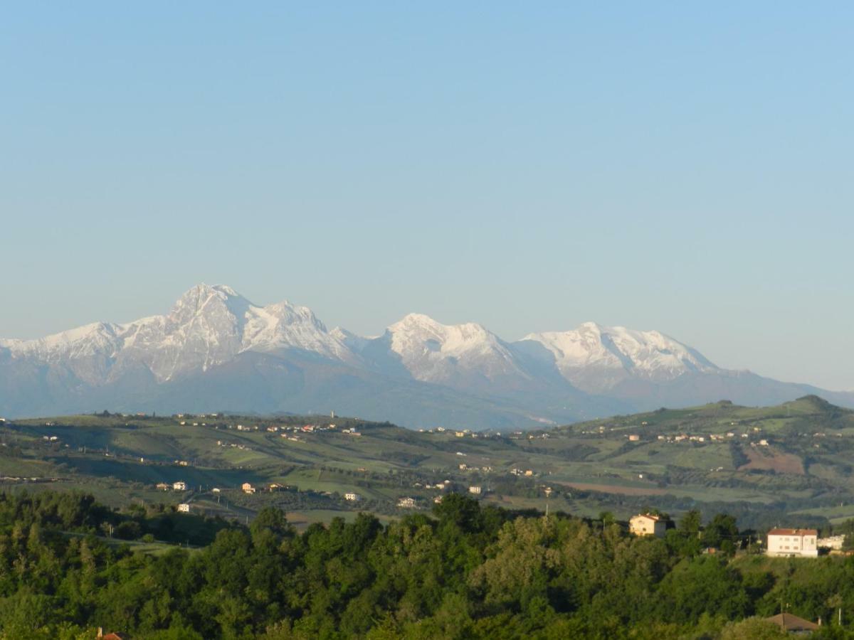 Il Gruccione Bed & Breakfast Sant'Omero Exterior photo